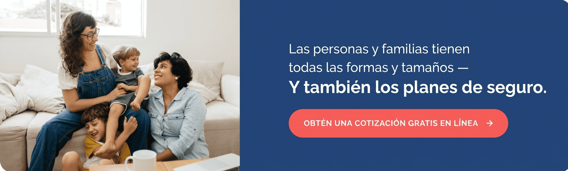 Opciones de seguro