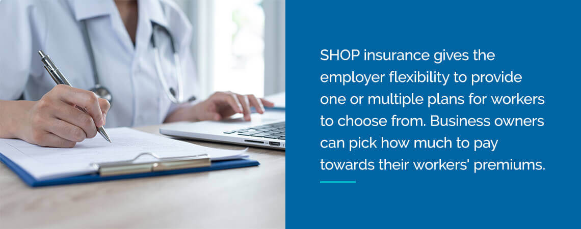 employer flexibility to provide one or multiple plans for workers to choose